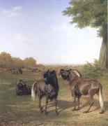 Jacques-Laurent Agasse White-Tailed Gnus (mk25) oil painting artist